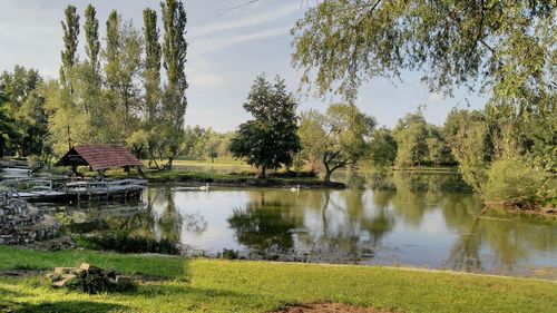 Scenic view of lake by trees against sky