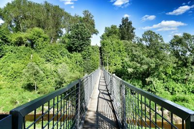 Footbridge amidst trees