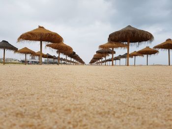 Parasols on beach against sky