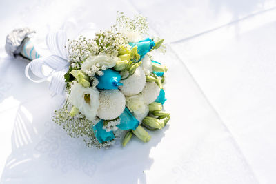 High angle view of white flowers in container