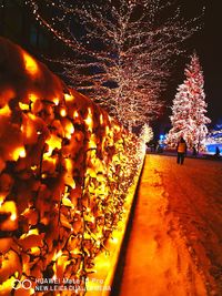 Illuminated christmas tree at night