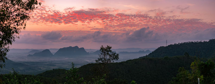 Panoramic view of trees against sky during sunset