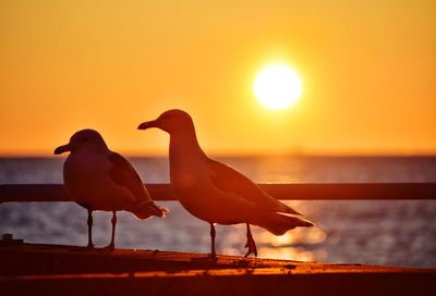 Sunrise over the baltic sea in gdynia