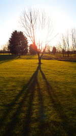 Scenic view of field against sky during sunset