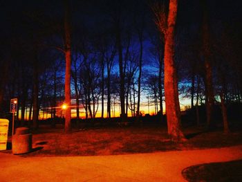 Illuminated trees against sky at night