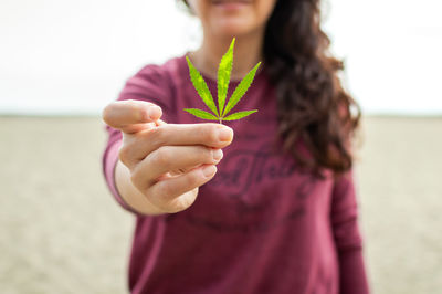Midsection of person holding ice cream on beach