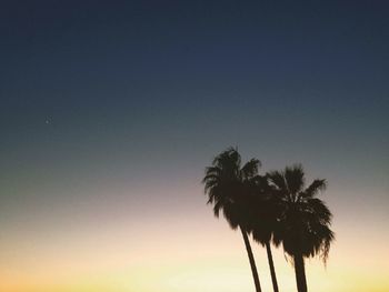 Low angle view of silhouette palm trees against sky