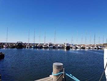 Sailboats moored in harbor against clear blue sky