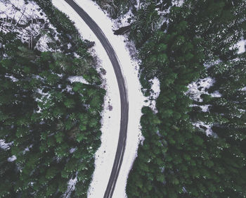High angle view of trees by road in forest
