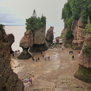 Tourists on beach