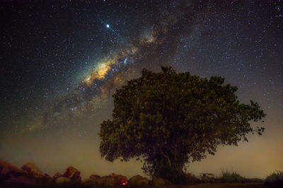 star