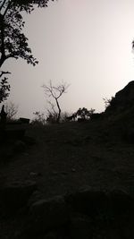 Trees on landscape against clear sky