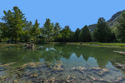 Scenic view of lake by trees against clear sky