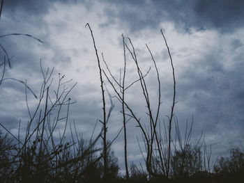 Low angle view of bare trees against cloudy sky