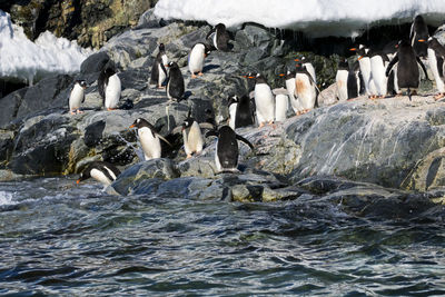 Scenic view of sea shore