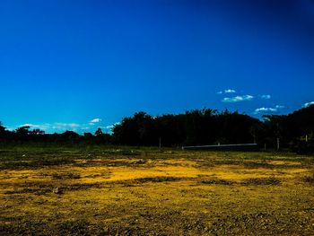 Scenic view of field against blue sky