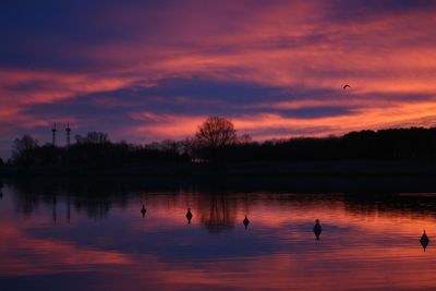 Silhouette birds on lake against orange sky