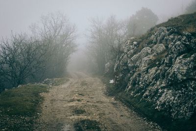 Dirt road amidst trees against sky