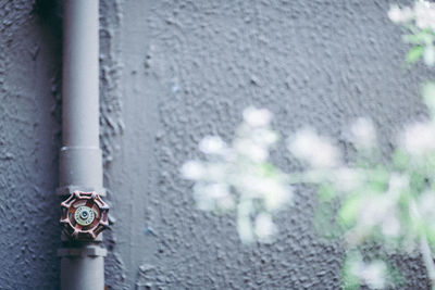 Close-up of pipe