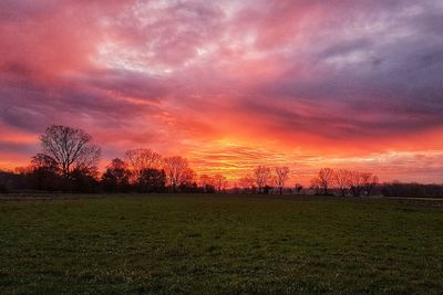 Scenic view of field against sky during sunset