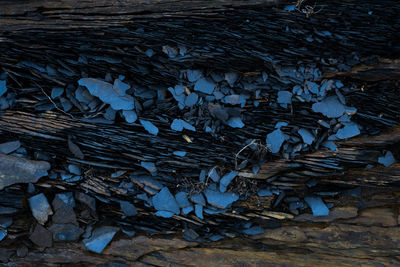 Full frame shot of dry leaves on wood