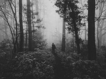 Rear view of man walking in forest