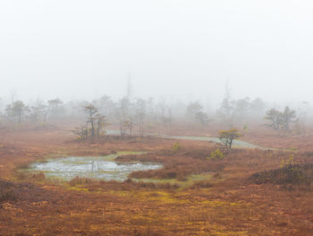 Stream on field against sky during foggy weather at kemeri national park