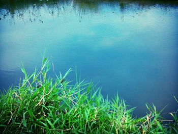 Scenic view of lake