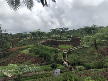 High angle view of trees on field against sky