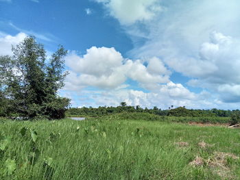 Scenic view of landscape against sky