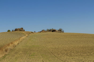 Scenic view of field against clear blue sky