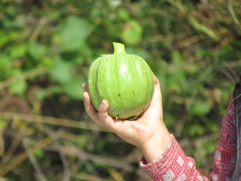 Close-up of person holding apple