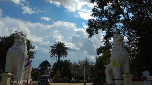 Low angle view of palm trees against sky