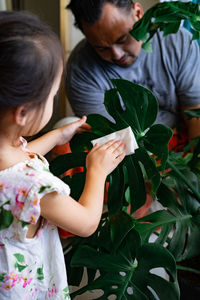 A little girl oiling the houseplant leaves, taking care of plant monstera. family home gardening.