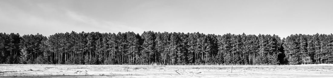 Snow covered landscape against sky