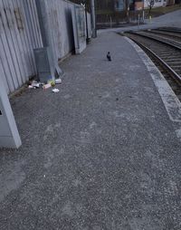 no people