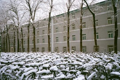 Snow covered field by building