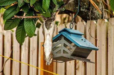 High angle view of bird perching on wooden post