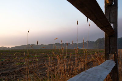 Scenic view of field against sky during sunset