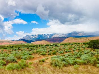 Scenic view of landscape against sky