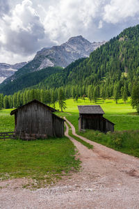 Forest path in the dolomites, val fiscalina