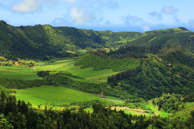 Scenic view of agricultural field against sky