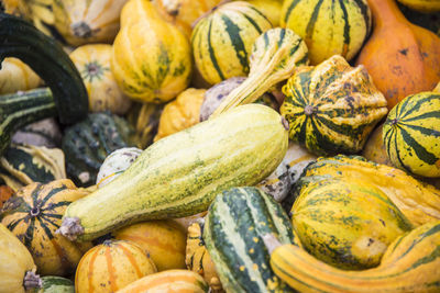 Close-up of pumpkins for sale at market stall