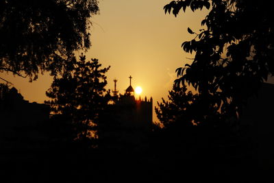 Silhouette of trees at sunset