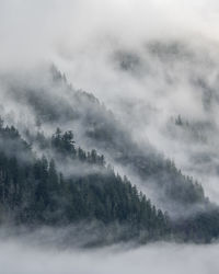 fog