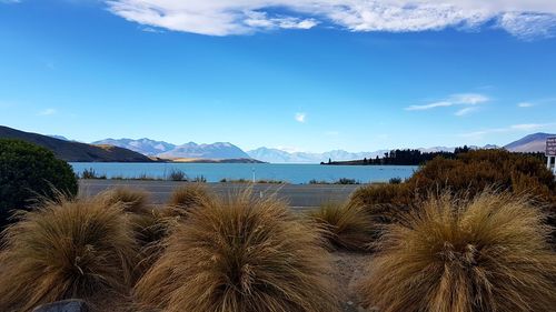 Scenic view of lake against blue sky