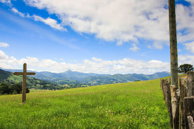 Scenic view of field against sky