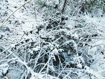 High angle view of snowflakes on field