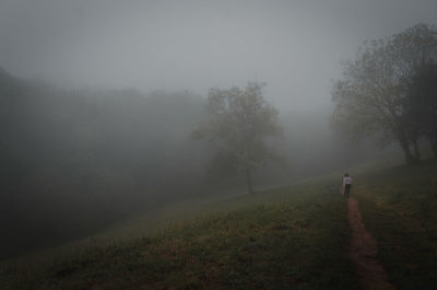 Rural foggy morning walk