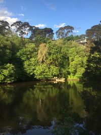 Scenic view of lake by trees against sky